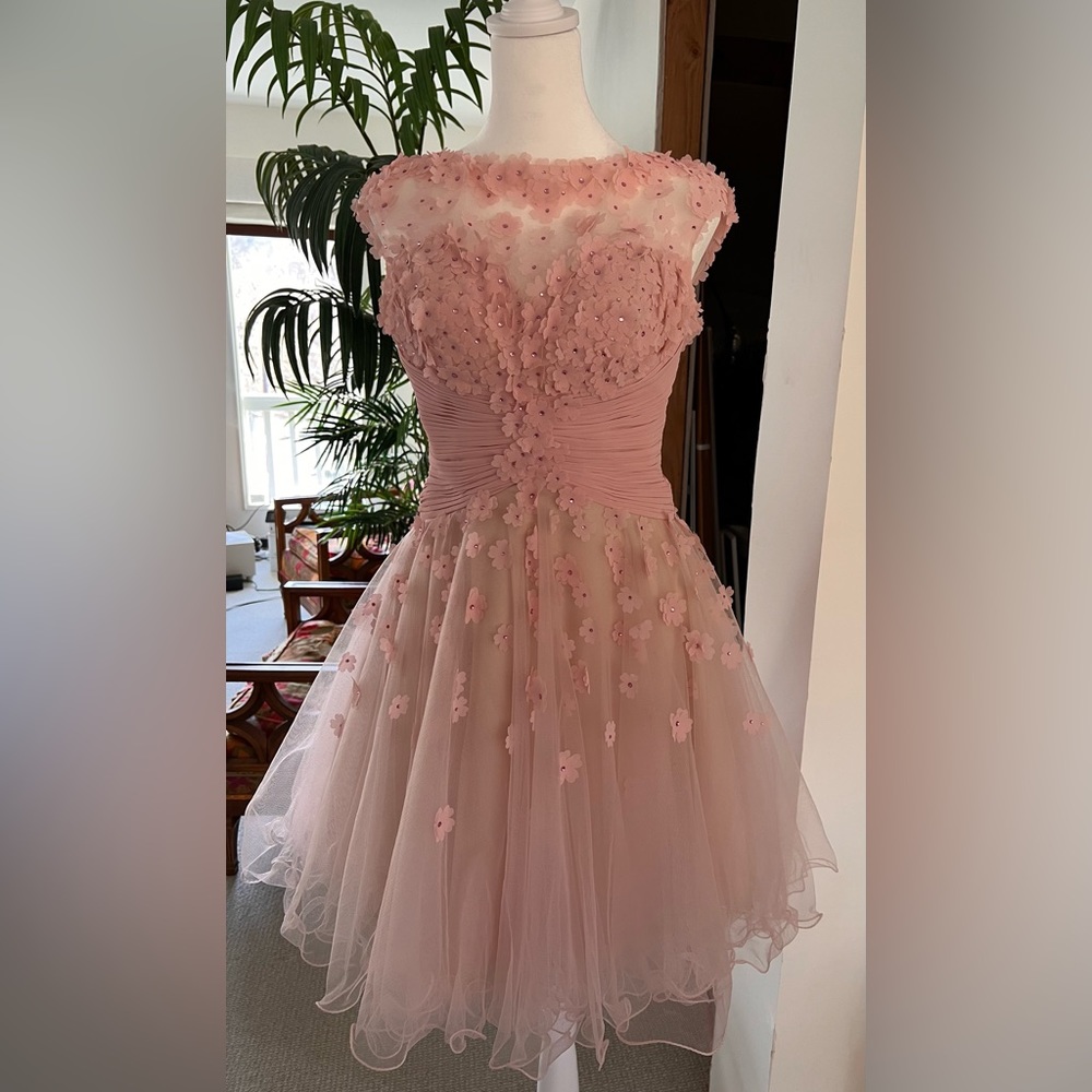 Tony Bowls pale pink tulle dress. Size 4.